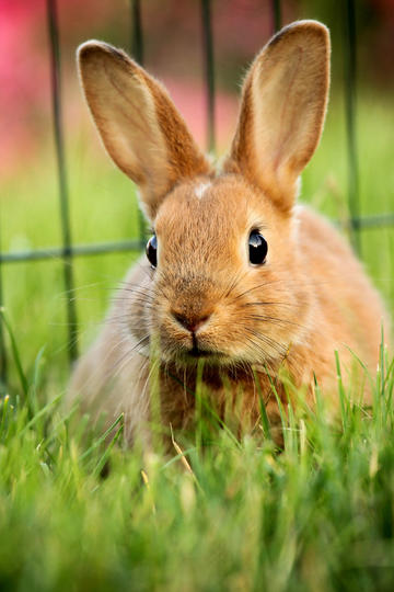 深夜爆发！中国资产大涨！