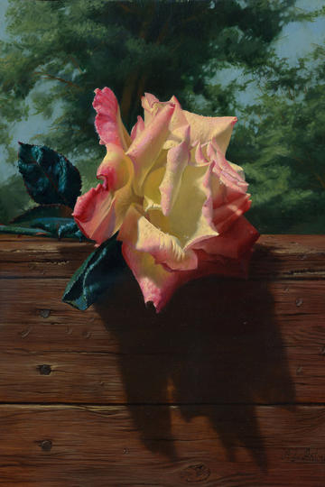 如果你的孩子成绩倒数，你还爱他吗？）