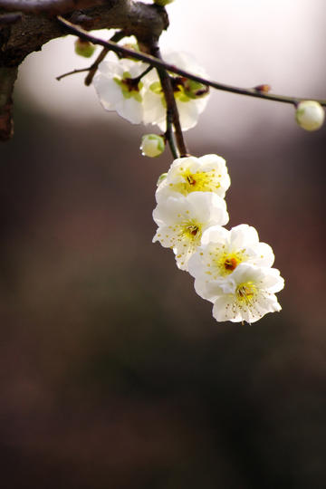 商务部表示「将帮助出口遇阻的外贸企业开拓国内市场」，目前外贸企业的状况如何？急需解决哪些问题？