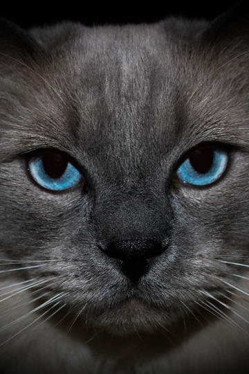 隔夜要闻：特朗普政府暂停联邦资金拨款 美国波音公司去年净亏118亿美元 星巴克销售降幅放缓